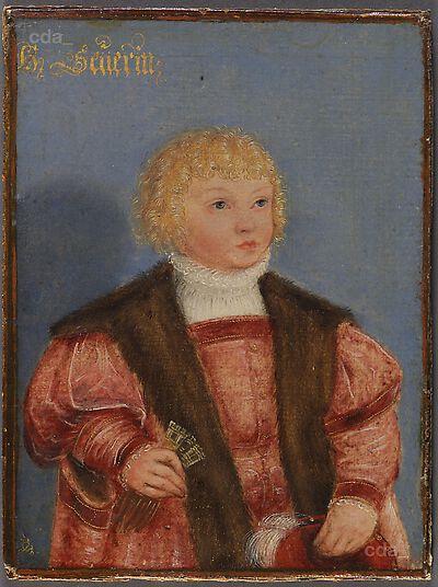 Severin, Sohn Heinrichs des Frommen, gestorben 1533