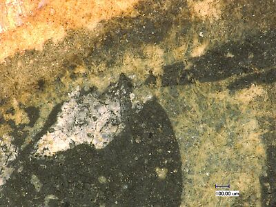 photomicrograph