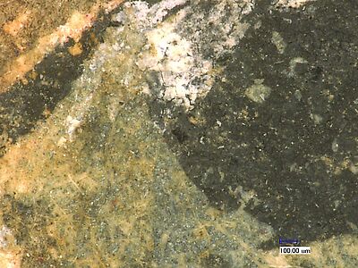 photomicrograph