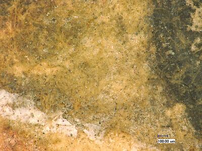 photomicrograph