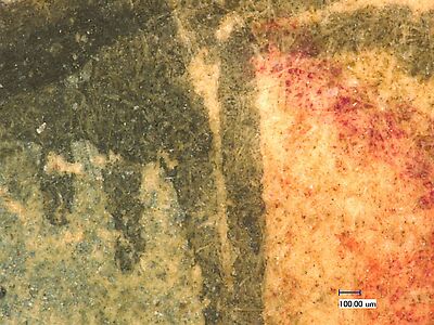 photomicrograph