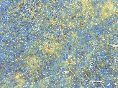 photomicrograph