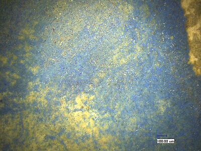 photomicrograph