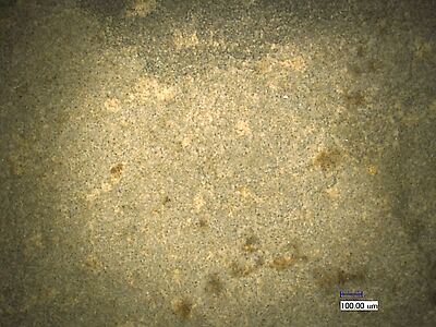 photomicrograph