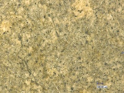 photomicrograph