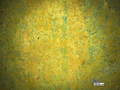 photomicrograph