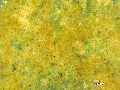 photomicrograph