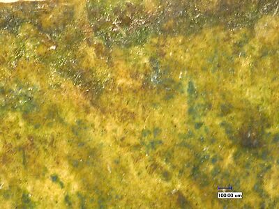 photomicrograph
