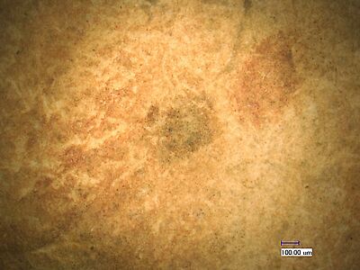 photomicrograph