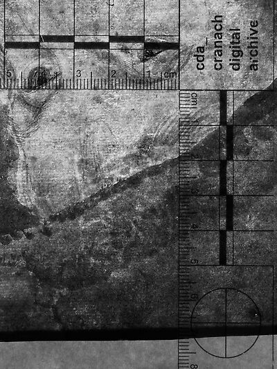 transmitted_light