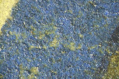 photomicrograph