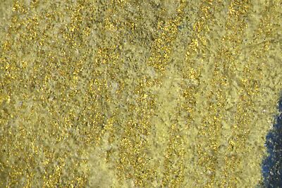 photomicrograph