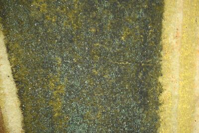photomicrograph