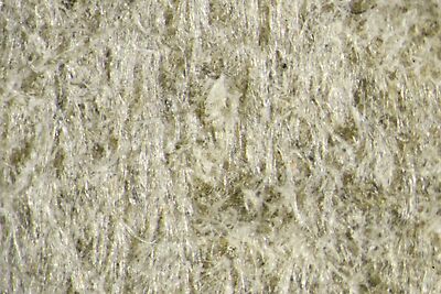 photomicrograph