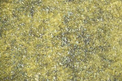 photomicrograph
