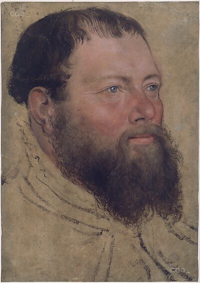 Portrait of a Man with a Dark Brown Beard