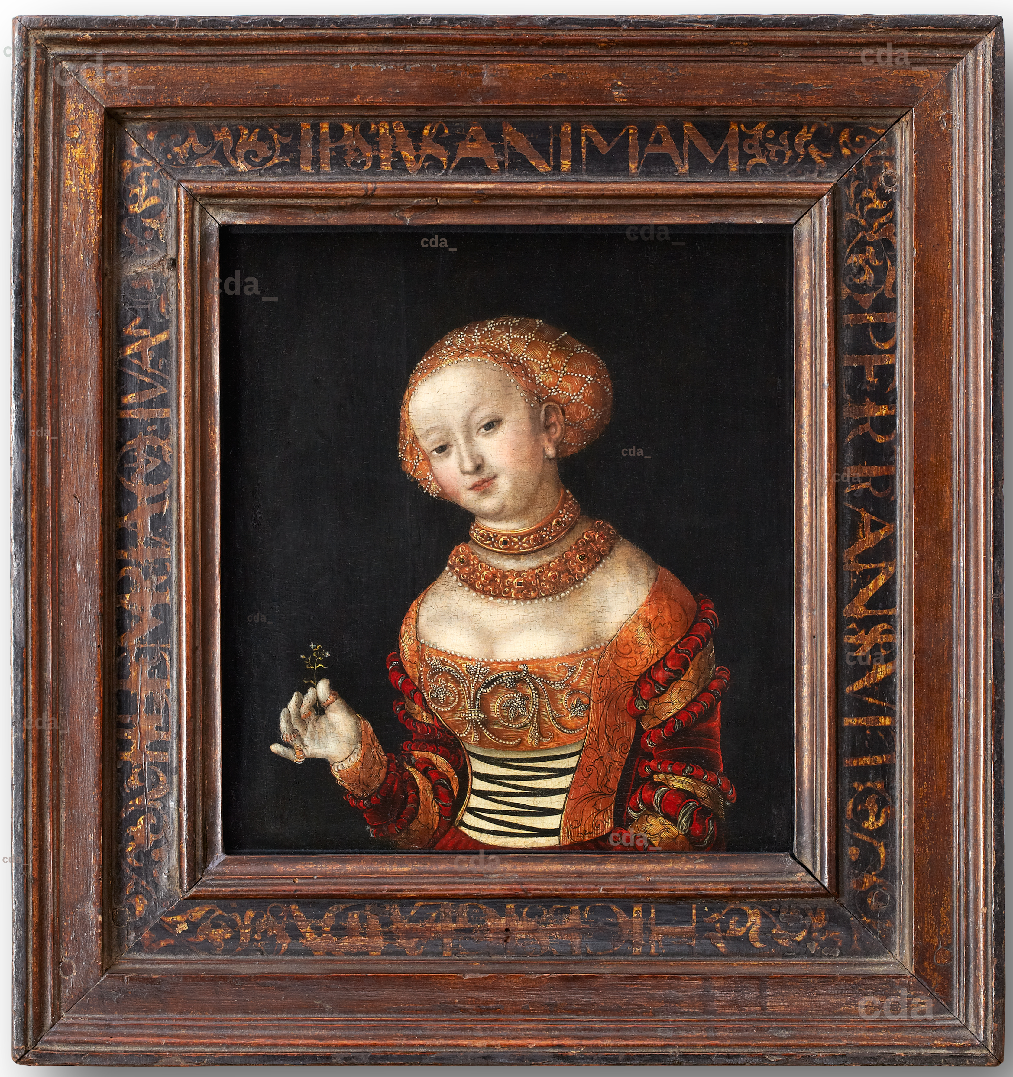 【中古】 Various：Portrait Bach Knauer 中古】 Various：Portrait Bach Knauer クラシック