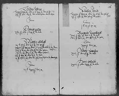 Die Heerfahrtssteuer (sog. 'Türkensteuer') wurde 1528 auf Grundbesitz erhoben. Die Angaben zur Schätzung waren von den Bürgern selbst zu erbringen. In der Anlage zur Kämmereirechnung werden die angezeigten Besitzungen (Häuser, Ackerland und Gärten) verzeichnet. Von der Steuer sollten für zwei Monate die Kosten für 200 Söldner bezahlt werden. Auf jedes Schock Silbergroschen ist ein Silbergroschen an Steuer zu bezahlen.