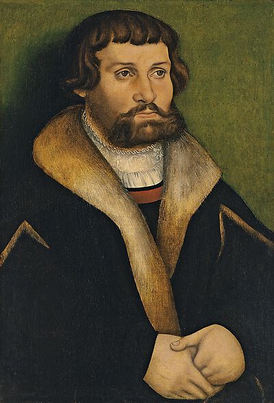 Portrait of a bearded Man