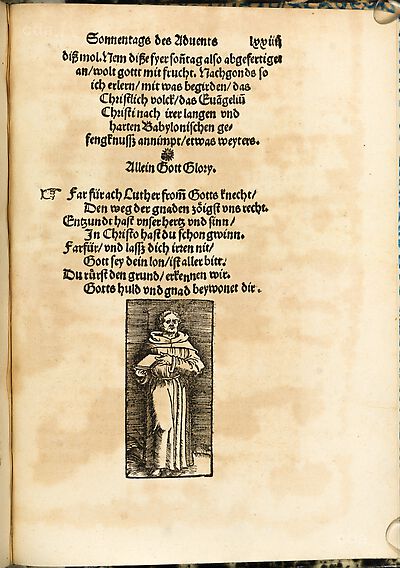 Martin Luther als Augustinermönch im Ordenshabit, Halbfigur nach rechts gewandt, im Strahlenkranz, mit Buch, Nimbus und Taube