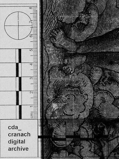 transmitted_light