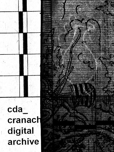 transmitted_light