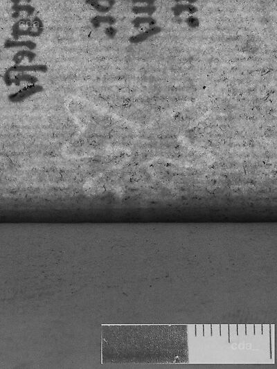 transmitted_light