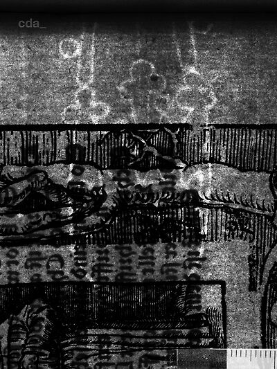 transmitted_light