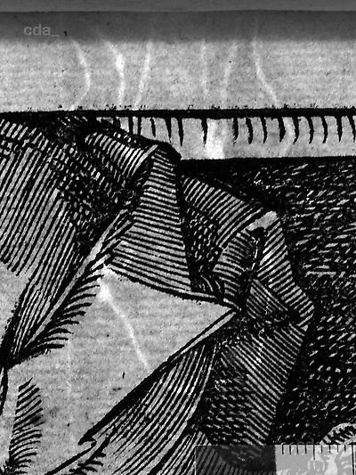 transmitted_light