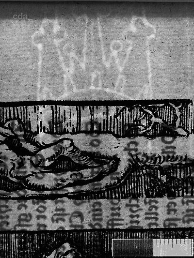 transmitted_light