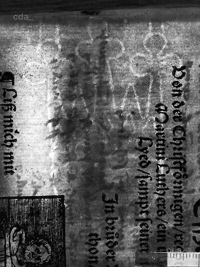 transmitted_light