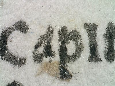 detail