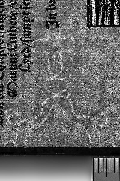 transmitted_light