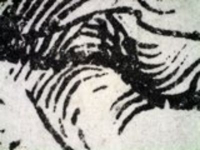 detail
