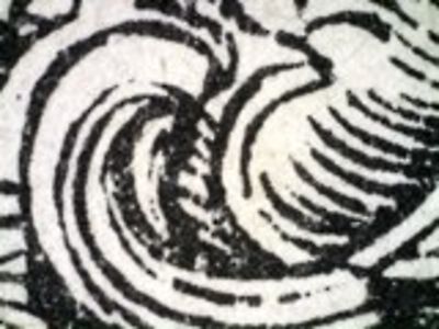 detail