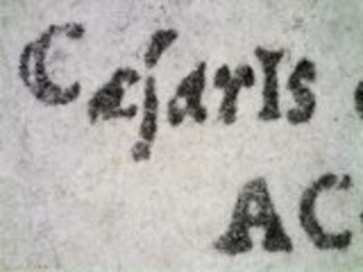 detail