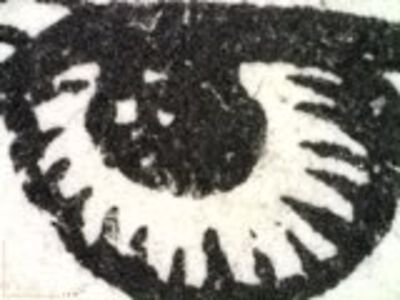 detail