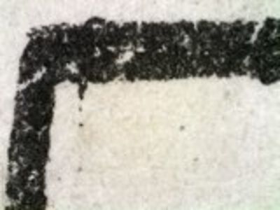 detail