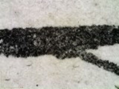 detail