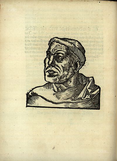 Martin Luther als Augustinermönch im Ordenshabit, Schulterstück nach links gewandt