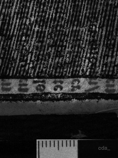 transmitted_light
