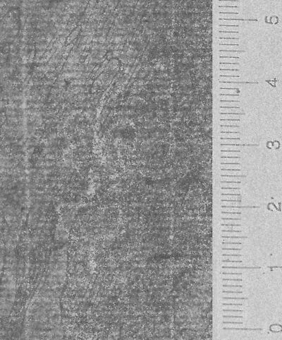 transmitted_light