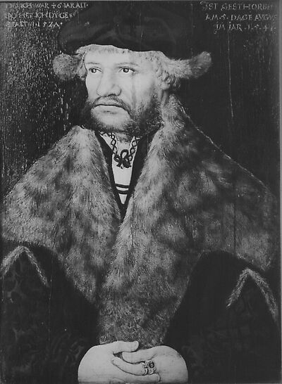 Portrait of an Unknown Man, aged 46