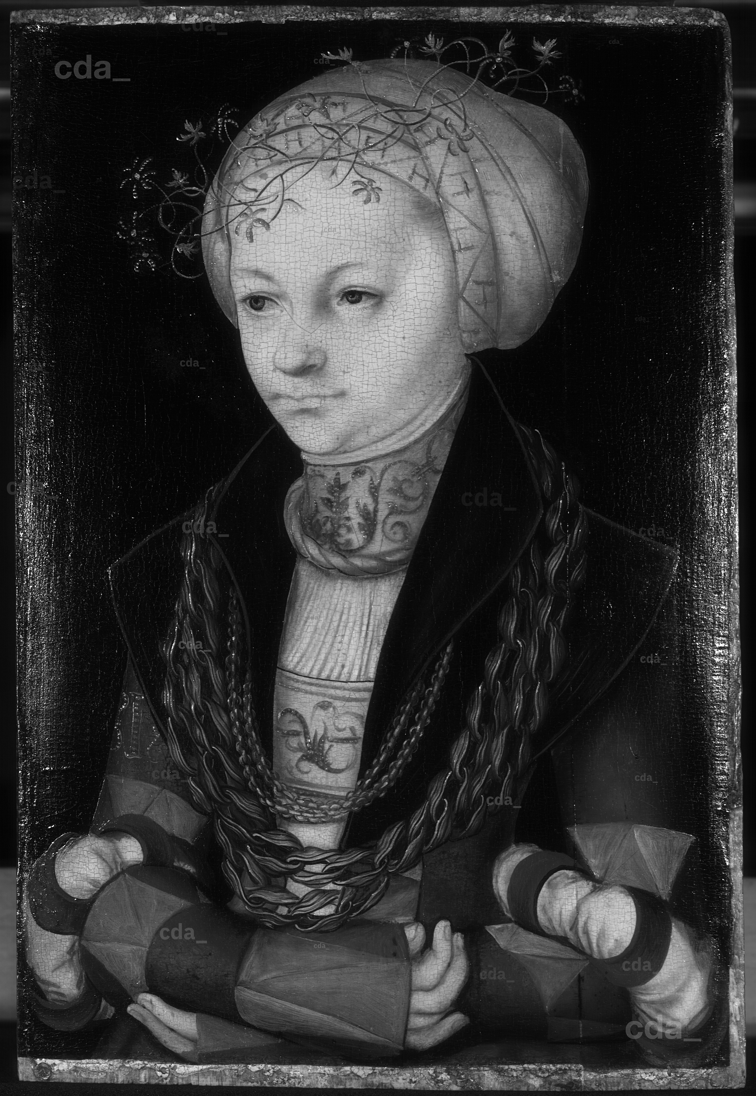 絵画 Painting of a lady The Clothed Maja : Renaissance Woman, デジタルアーツ Gerry