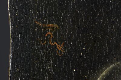 detail