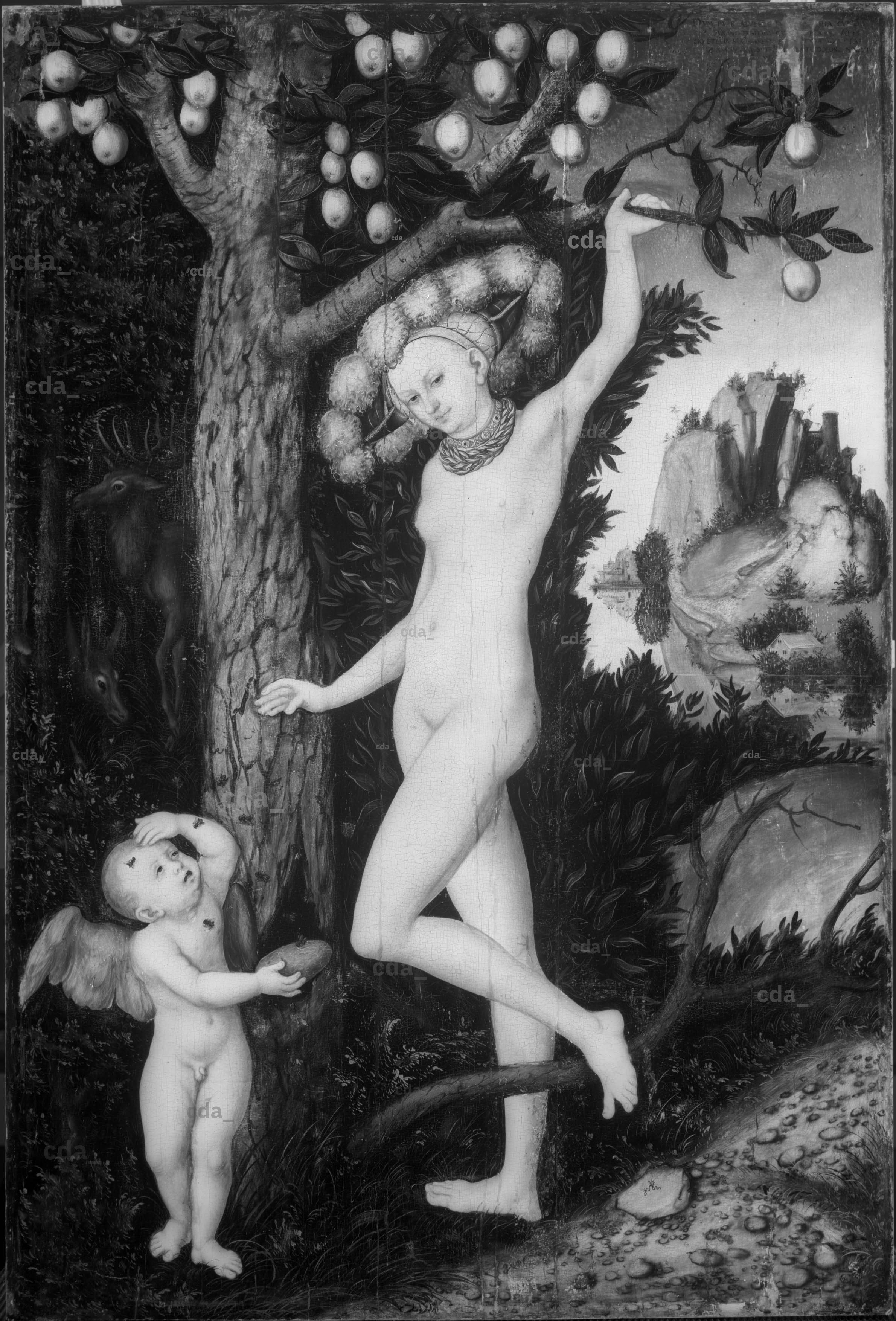 cda :: Paintings :: Cupid complaining to Venus